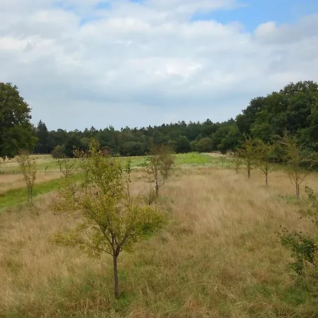 Waldblick Lejlighed *