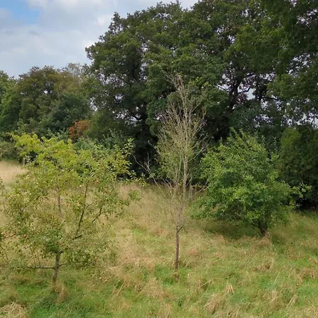 Waldblick * Aurich